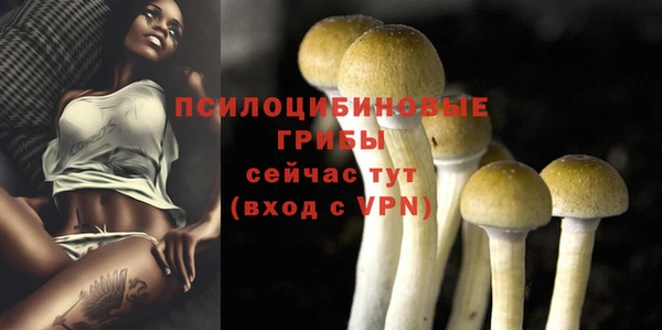 мяу мяу кристалл Богородицк