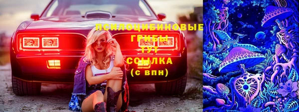 соль курить ск Богородск