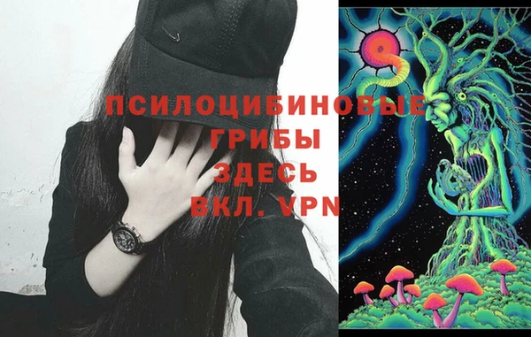 соль курить ск Богородск