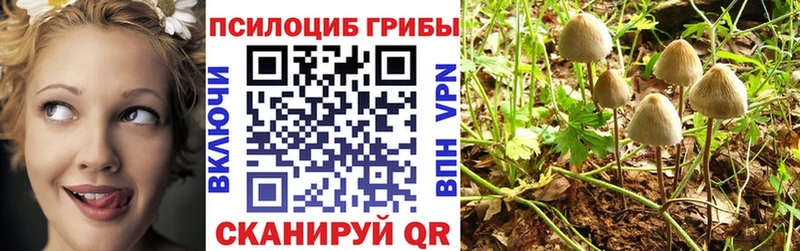 закладка  Корсаков  Галлюциногенные грибы мухоморы 